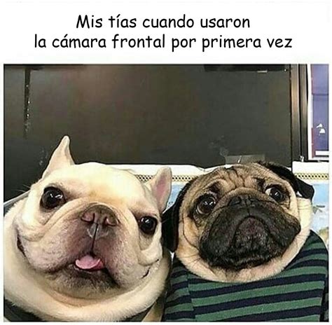 videos de memes graciosos